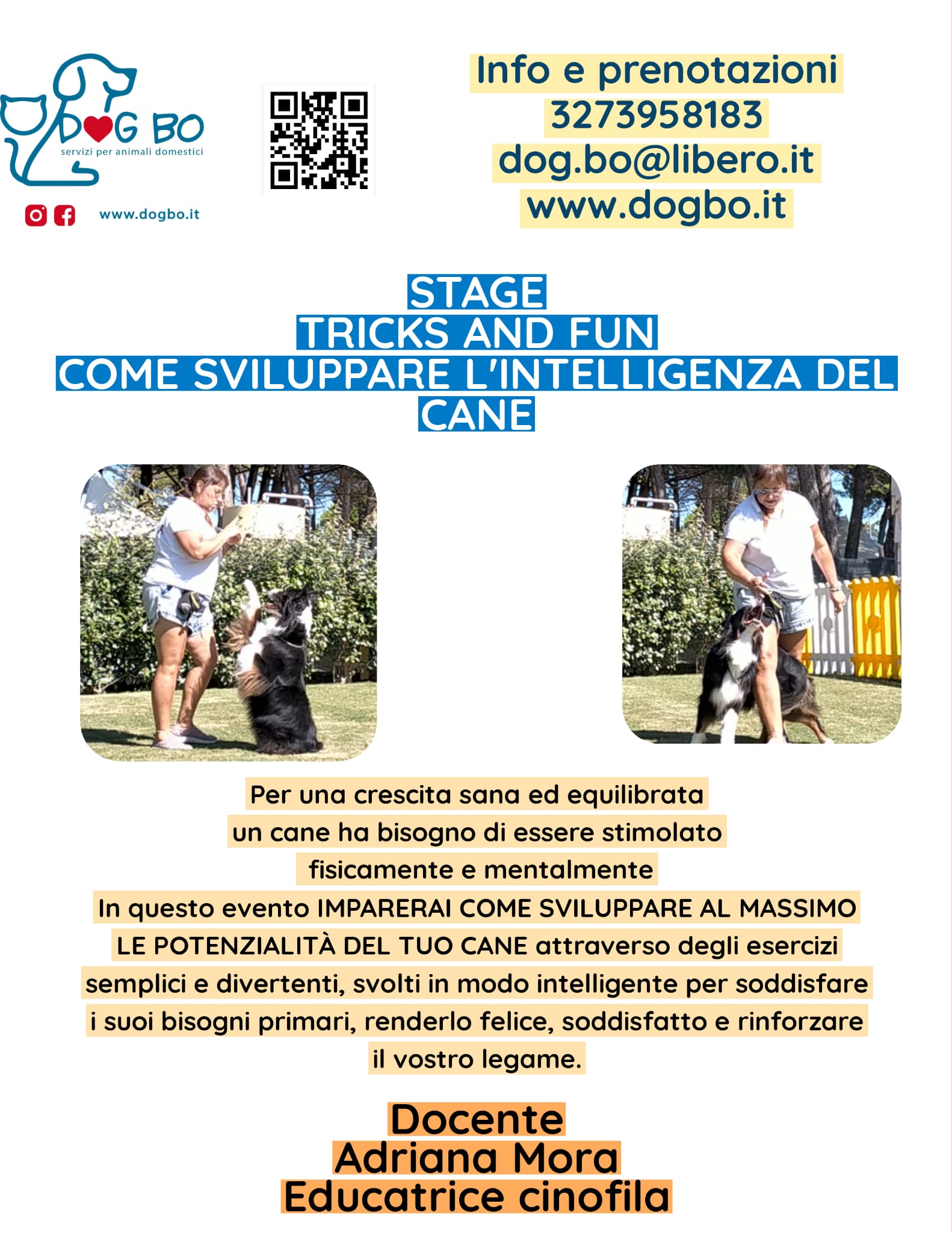 corsi DogBo Bologna