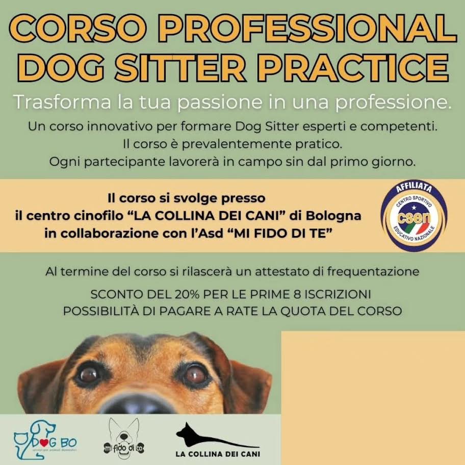 corsi dogbo