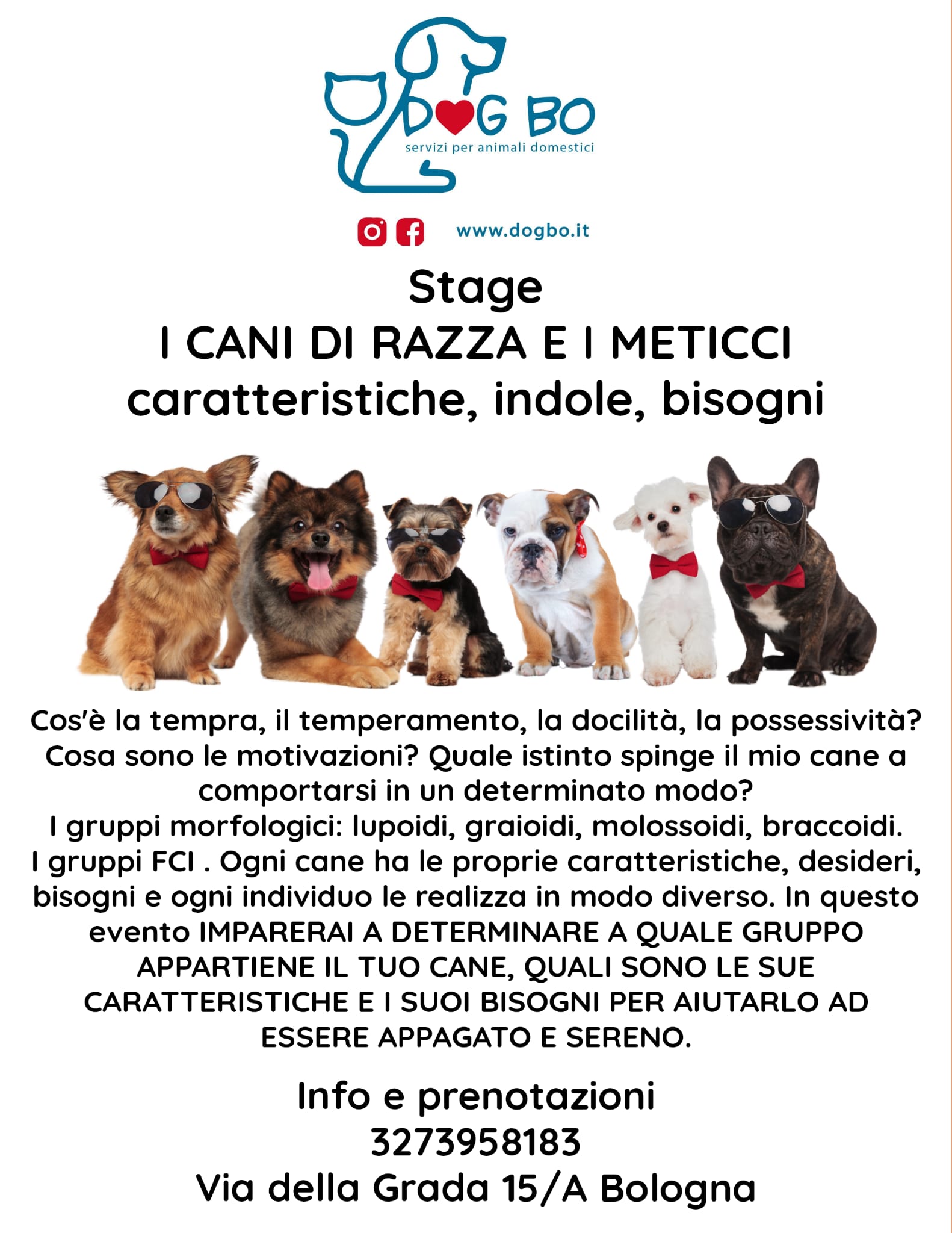 corsi DogBo Bologna