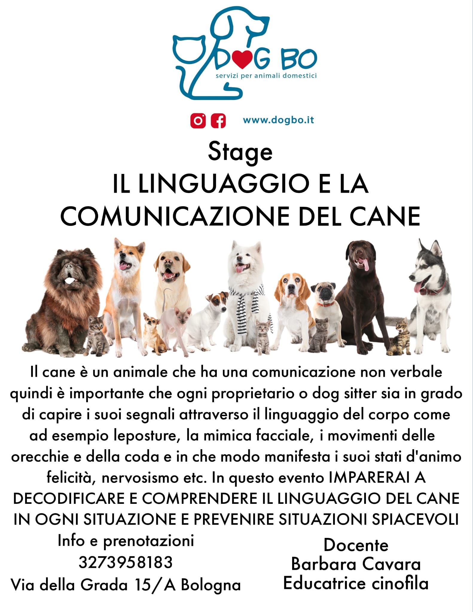 corsi DogBo Bologna