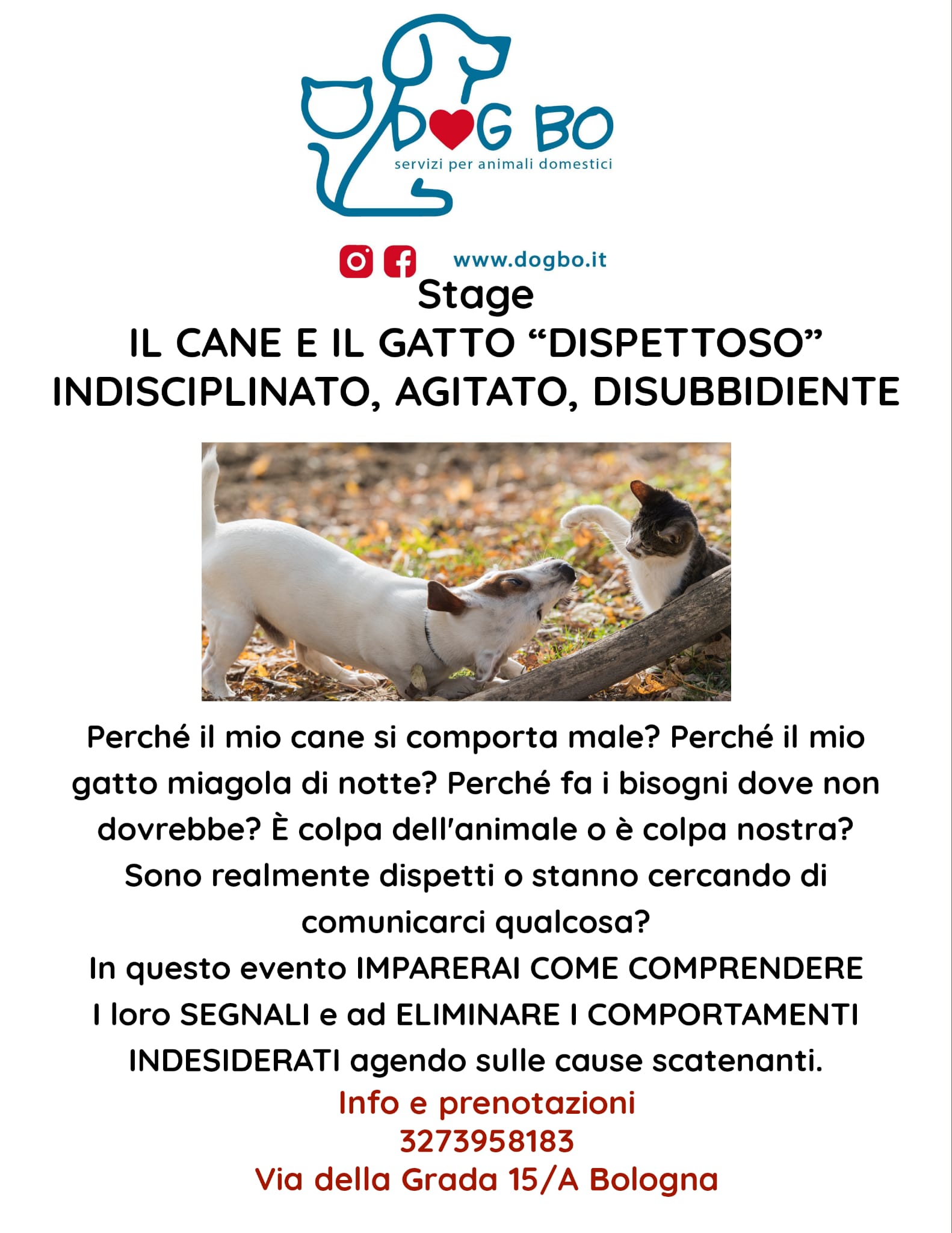 corsi DogBo Bologna