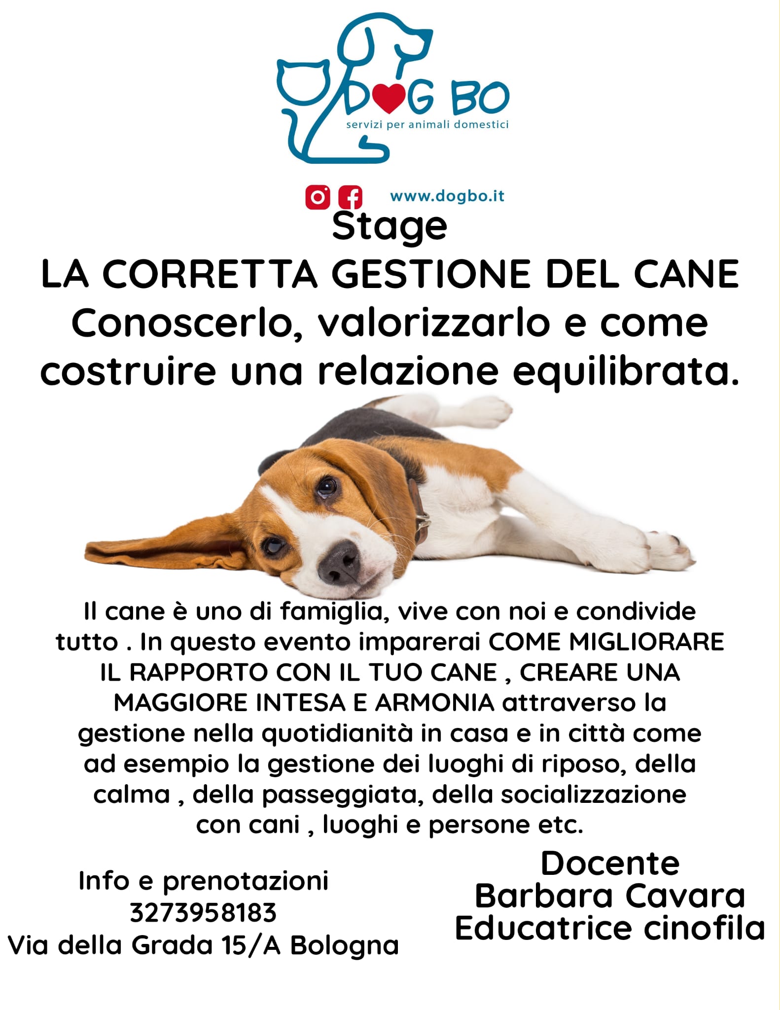 corsi DogBo Bologna