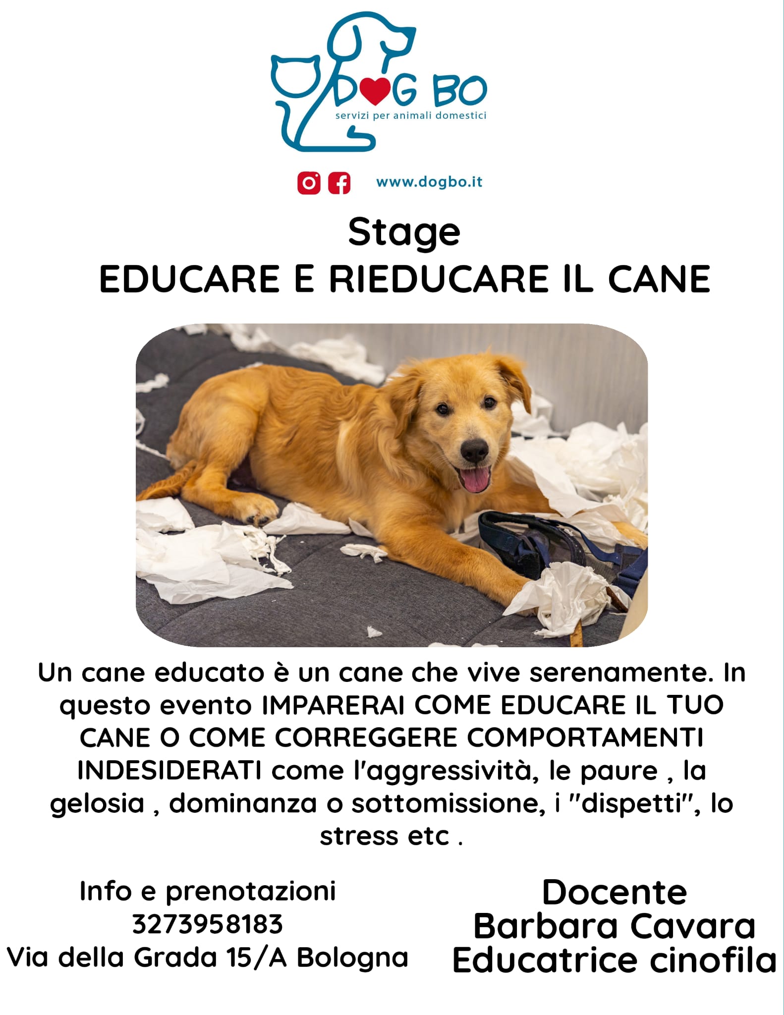 corsi DogBo Bologna