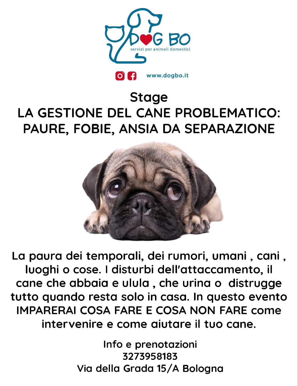 corsi DogBo Bologna