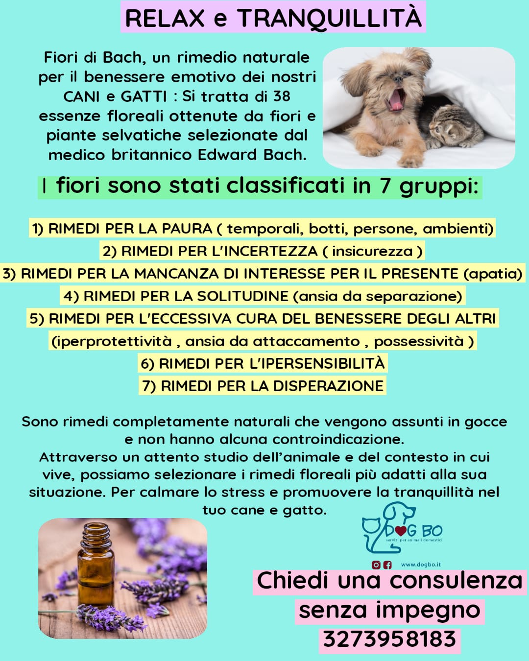 per il benessere di cani e gatti - DogBo Bologna