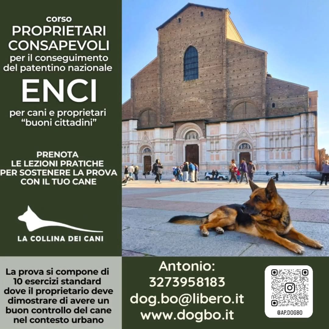 corsi dogbo