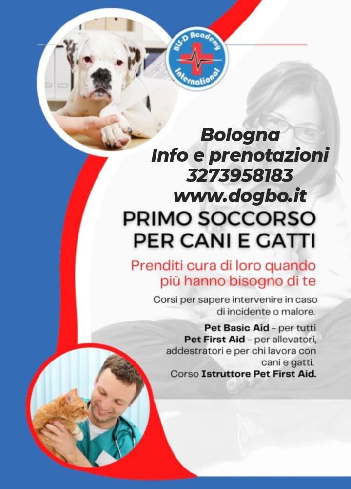 corso di primo soccorso per cani e gatti